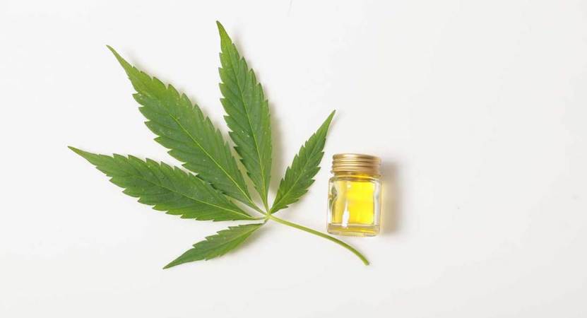 You are currently viewing CBD Skin Care: Complete Guide (Updated 2023)