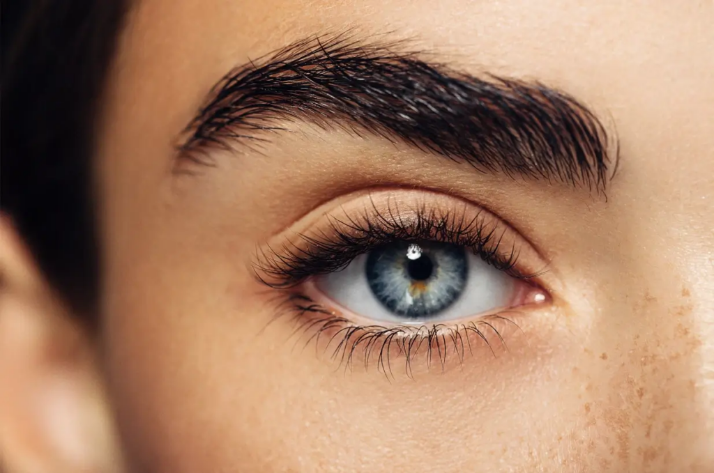 Close up of a woman's blue eye and eyebrow