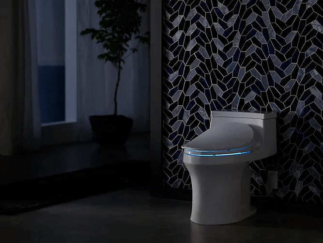 Kohler Bidet Toilet