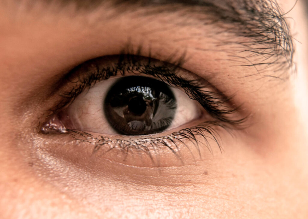 closeup shot of an eye and eyelashes