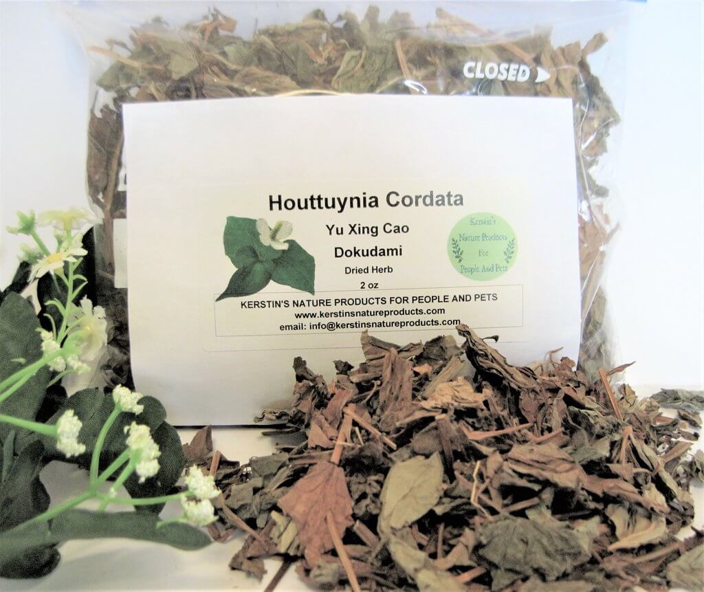 Yu Xing Cao Dried Herb Heartleaf Houttuynia Cordata