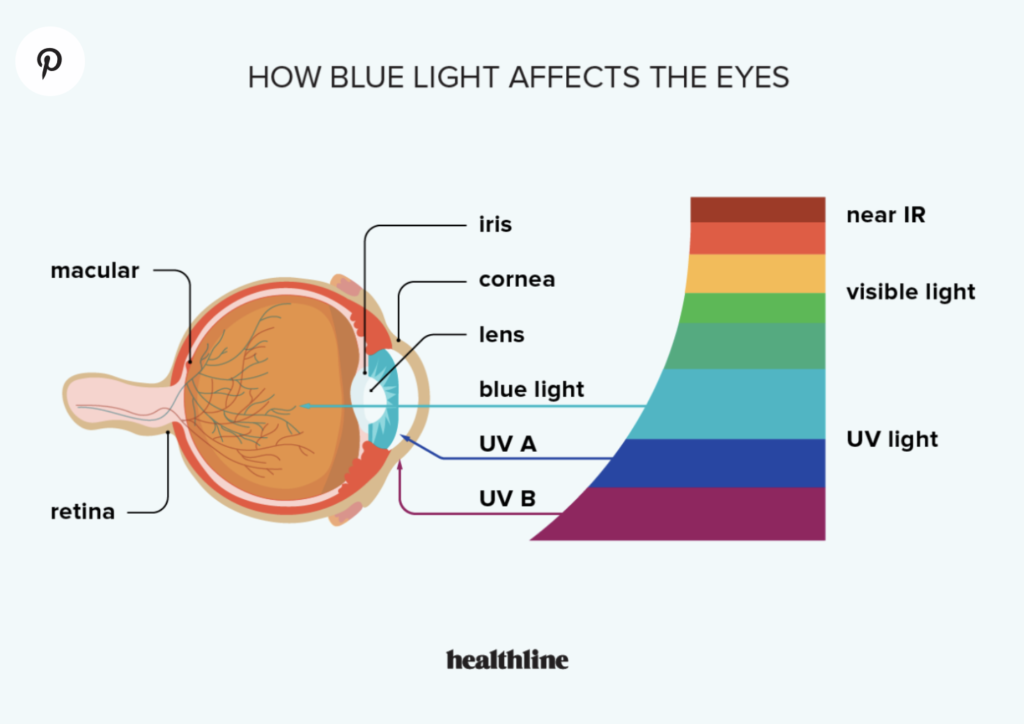 how blue light affects the eyes diagram