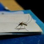 Best Mosquito Repellent (Updated 2023)